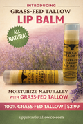 Grass‑Fed Tallow Lip Balm — Lavender